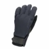 Sealskinz Waterproof All Weather Insulated Glove Black