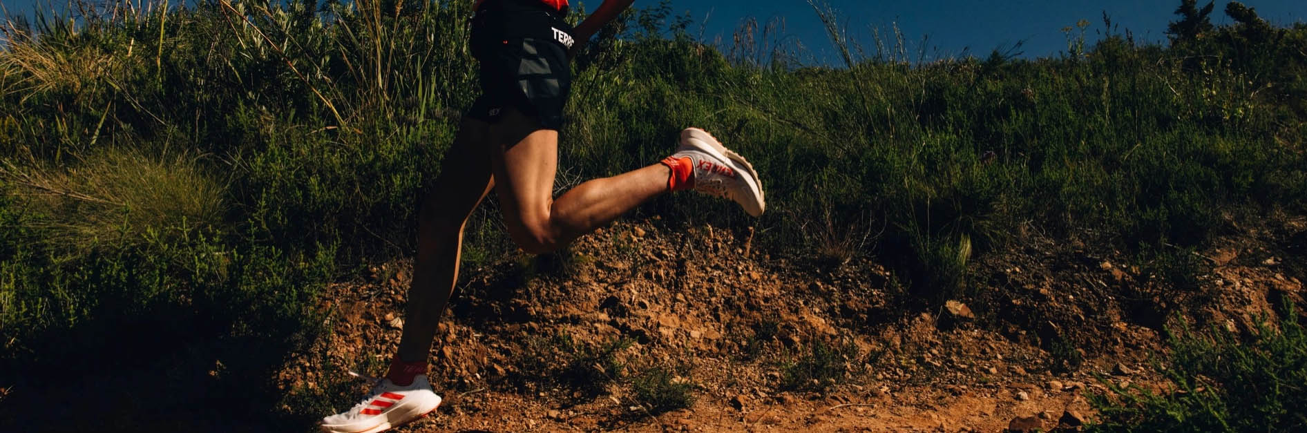 Outdoor Equipment Store -Outdoor Equipment Store rtyryr76